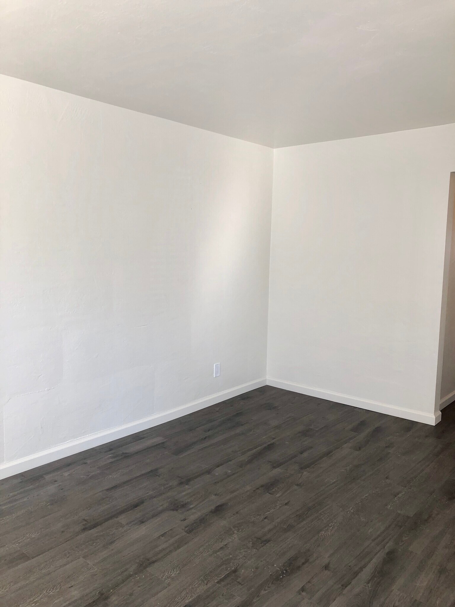 Living Room - 1450 Hillside Dr