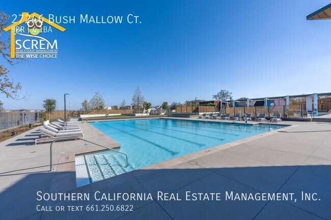 Building Photo - 27246 W Bush Mallow Ct