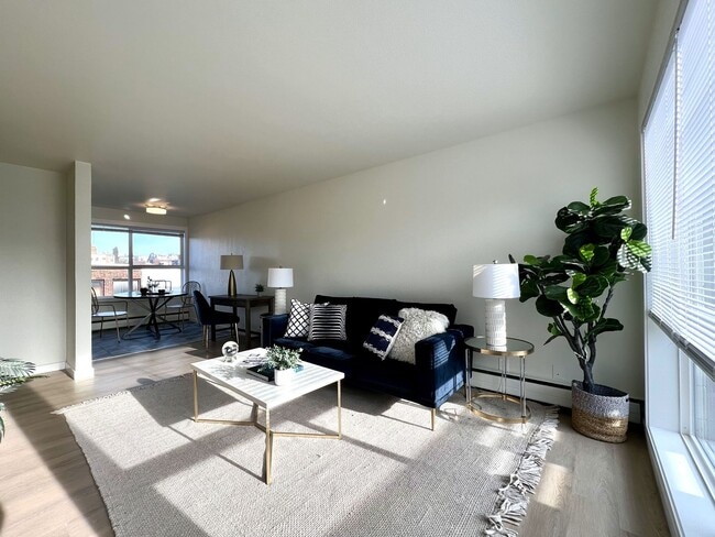 Interior Photo - The Larkspur