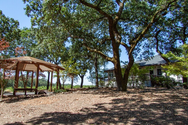 Building Photo - 2900 Alton Ln