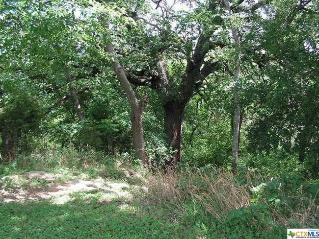 Building Photo - NEW ON MARKET