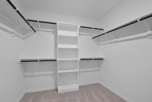 Building Photo - 2852 Baneberry Ln