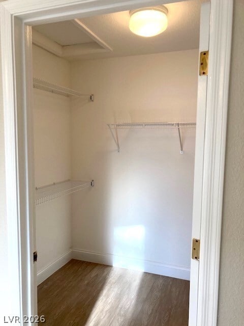 Building Photo - 3016 Cavalcade St