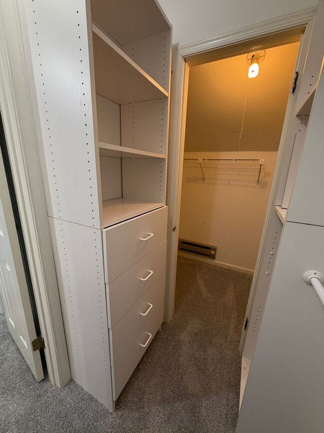 Building Photo - 3BR - WOODED VIEWS • FINISHED BASEMENT • BONUS LOFT • TE SCHOOL DISTRICT