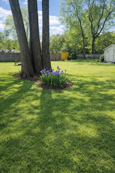 Backyard - 1029 Washington Ave