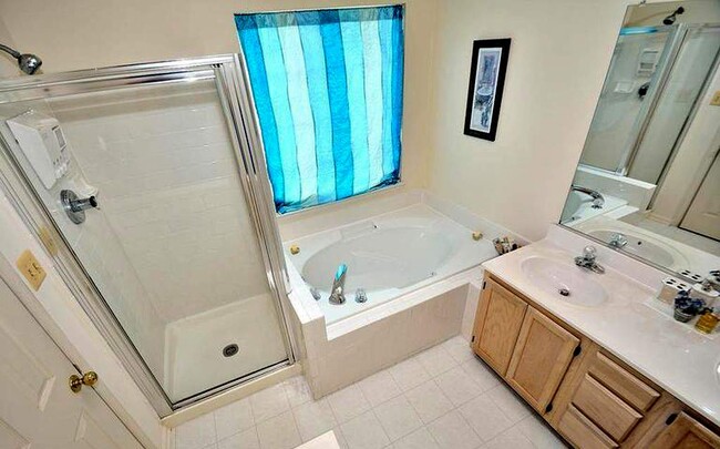 Master bath - shower and tub and vaulted ceilings! - 14614 stream pond Dr