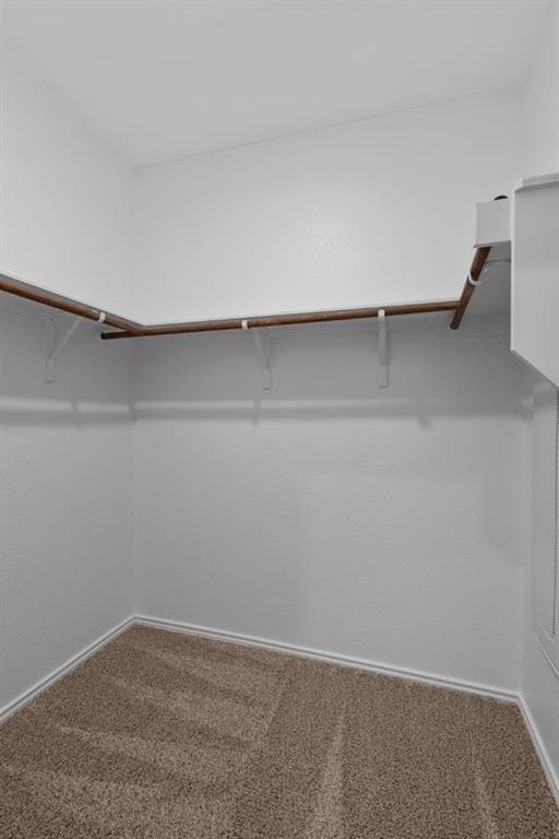 Building Photo - 7229 Spotted Leaf Wy