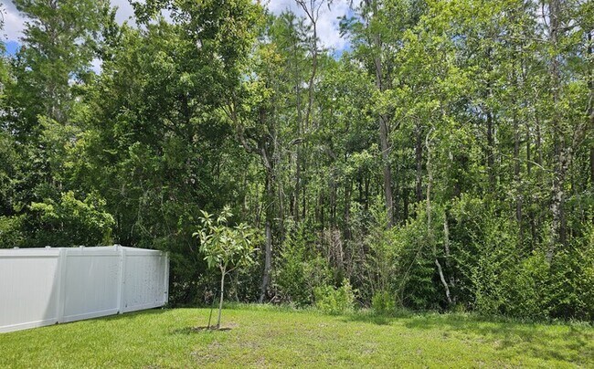 Building Photo - Beautiful 4/2 Home in Palm Coast Screened ...