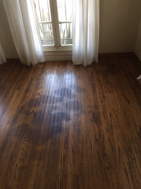 Building Photo - 729 S Cochran Ave