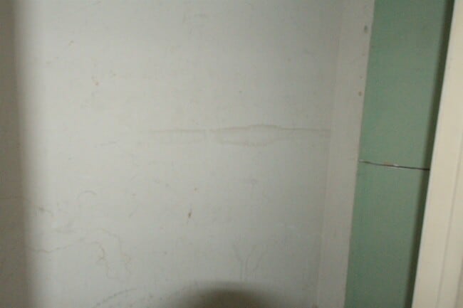 Building Photo - 1214 Sycamore Dr