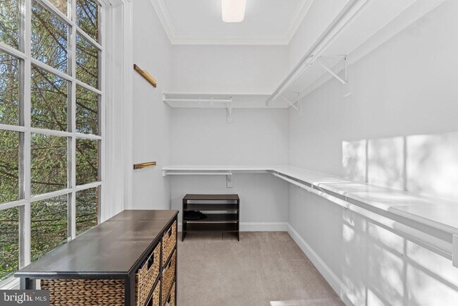 Building Photo - 8541 Old Dominion Dr