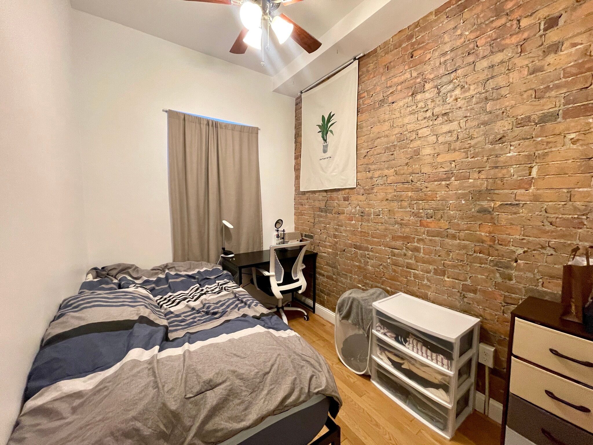 Building Photo - 243 Northampton St