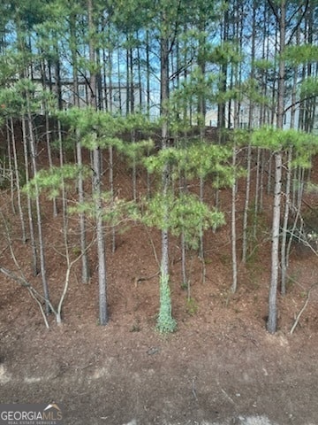 Building Photo - 212 Riverstone Commons Cir