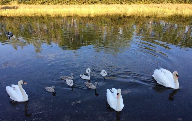 Building Photo - 160 NW 166th Ave