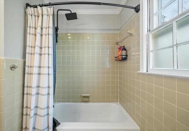 Building Photo - 537 Braxton Ave