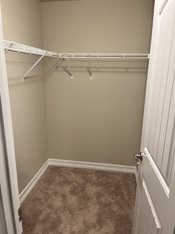 Building Photo - 4946 Olympus Dr