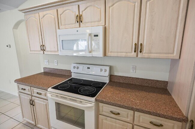 Building Photo - Palm Harbor Pool Home