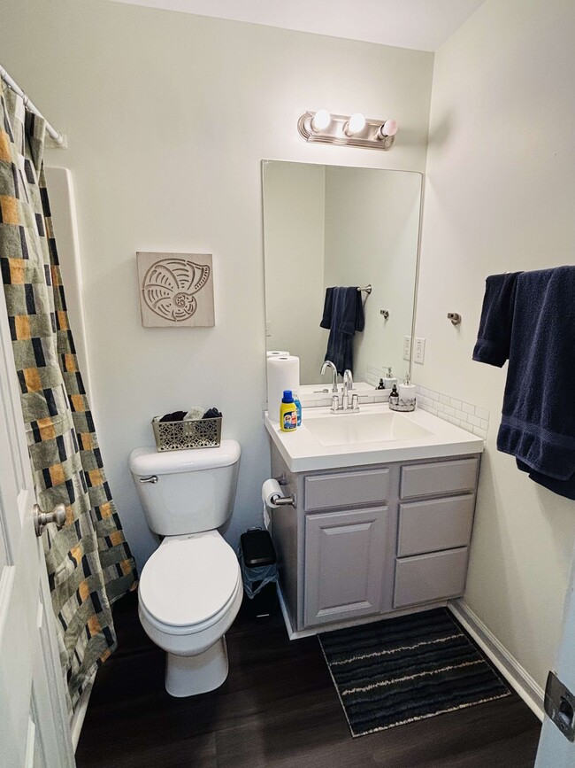 Modern, updated bathroom. - 105 Lincoln Place Cir