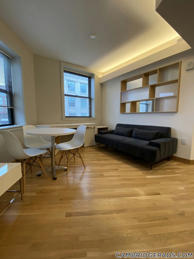 Building Photo - 115 Mt Auburn St