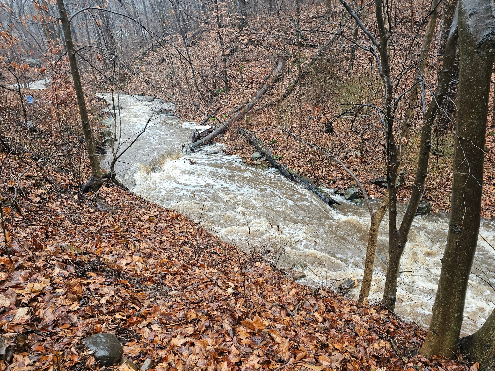 Private Brook - 2778 Albany Ave