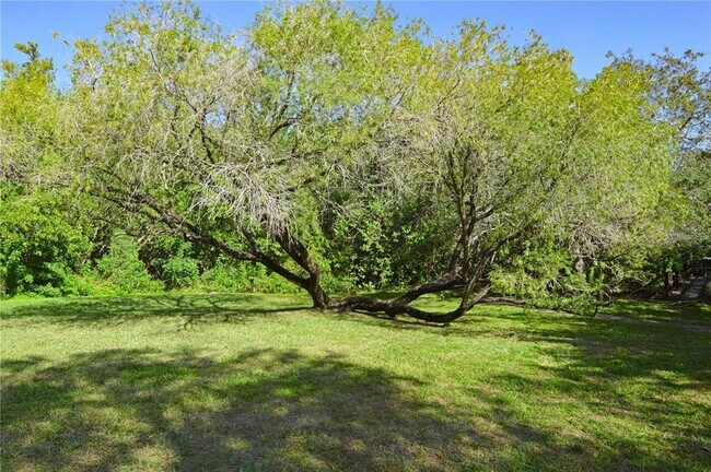 Building Photo - 2904 Lichen Ln