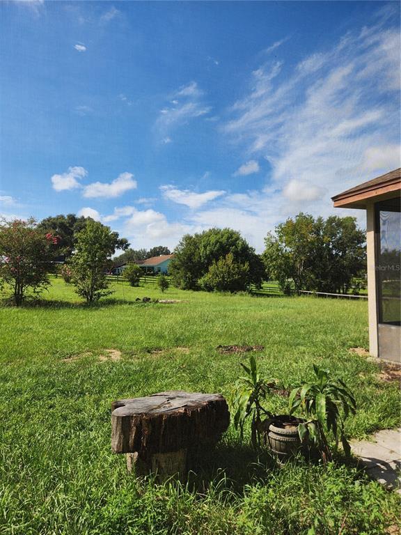 Building Photo - 15404 Thoroughbred Ln