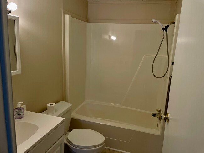 Hall Bathroom - 311 Rugby Rd