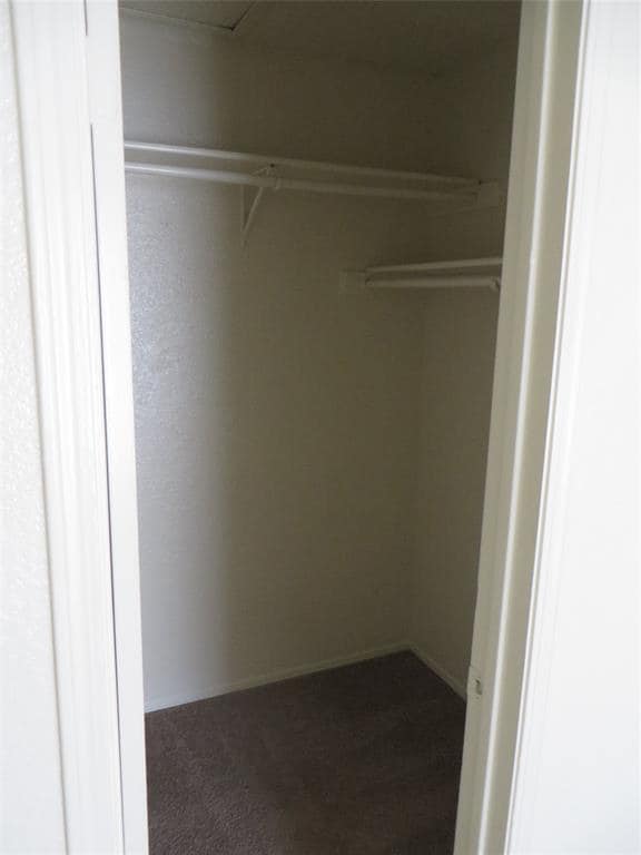 Building Photo - 2217 Katy Ln