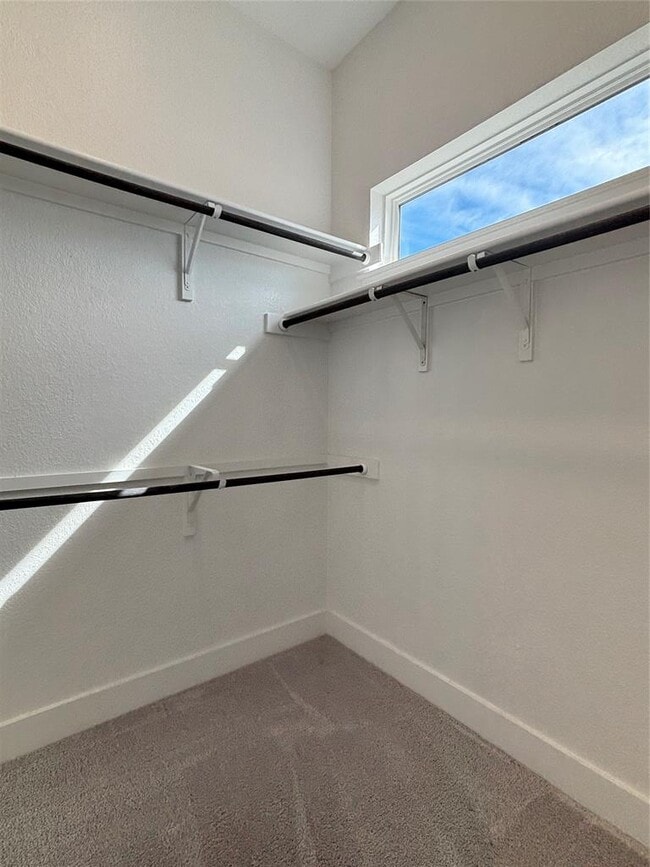 Building Photo - 19521 Tranquility Fls Cv