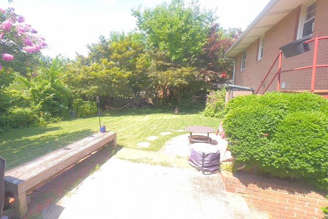Backyard - 9110 Drake Pl