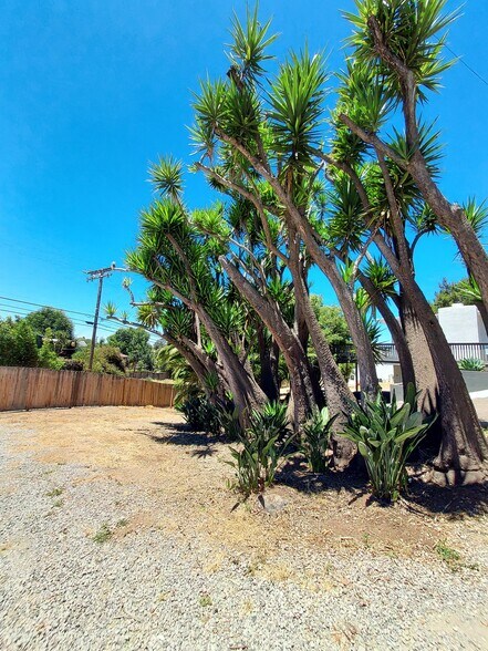 Building Photo - 603 Sunset Dr