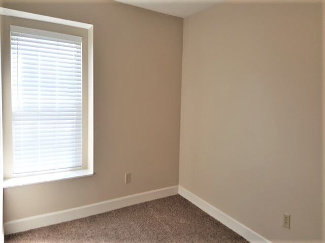 Building Photo - 305 Windgate Ct
