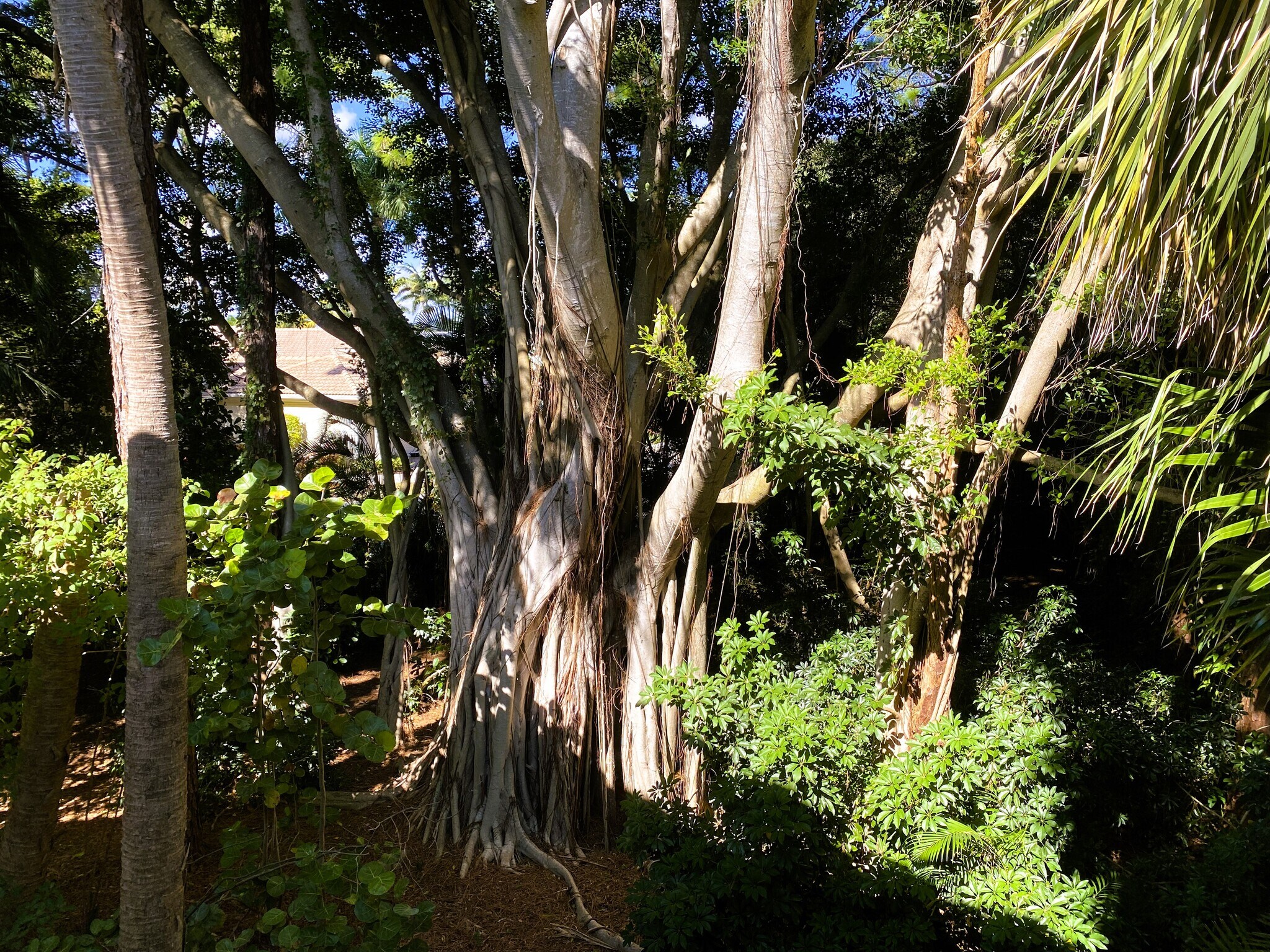 Building Photo - 9345 Green Meadows Way