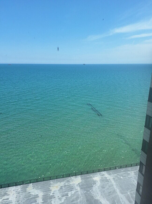 Picture window lake view - 7337 S South Shore Dr