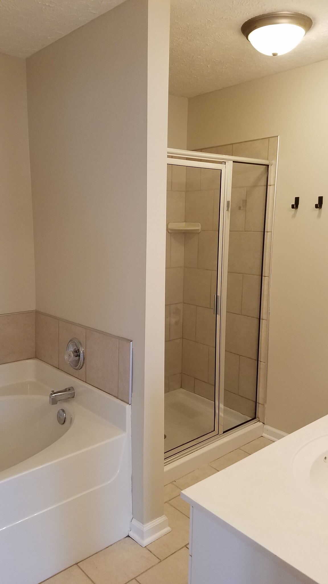 master bath - 618 Spence Enclave Way