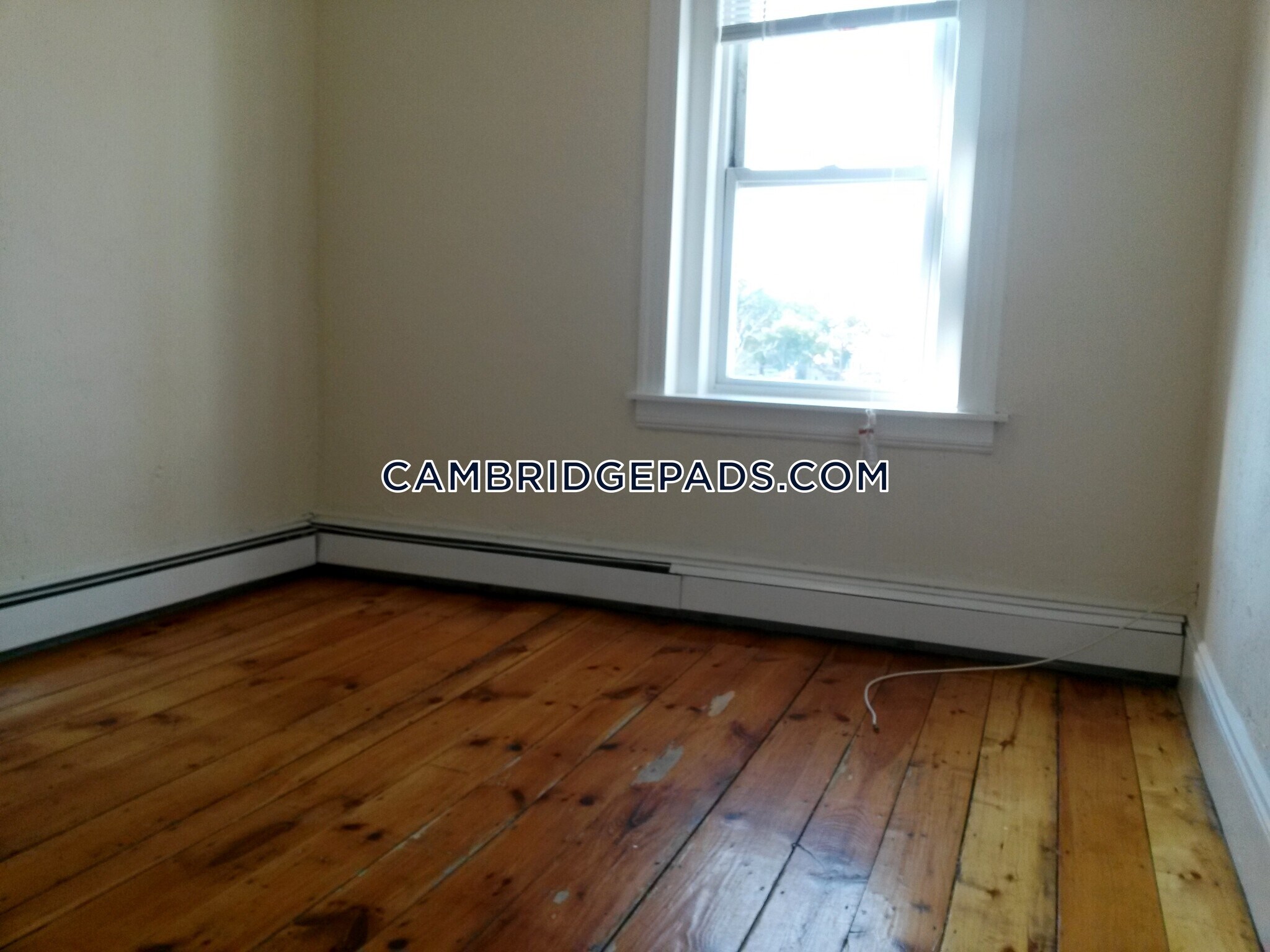 Building Photo - 124 Berkshire St