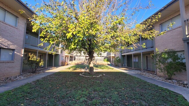 Building Photo - Lovely 2 bedroom apartment in Balcones Heights