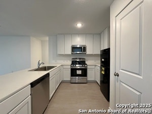 Building Photo - 407 Indian Blossom