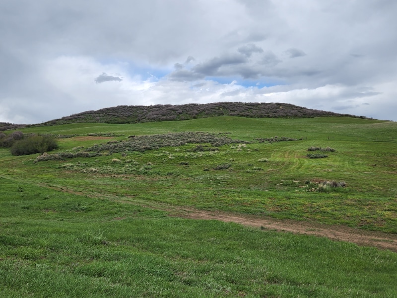 Building Photo - 39021 Holly Ln