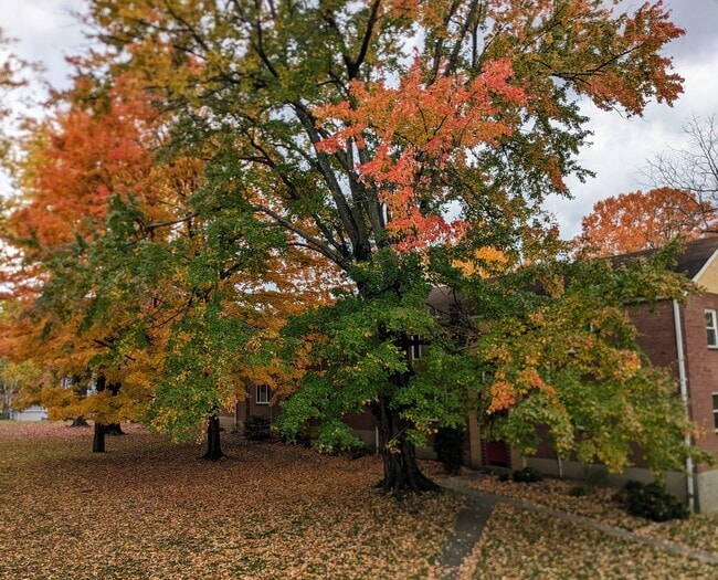 Building Photo - 5932 Belmont Ave