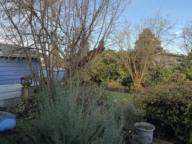 Building Photo - 3525 River Rd