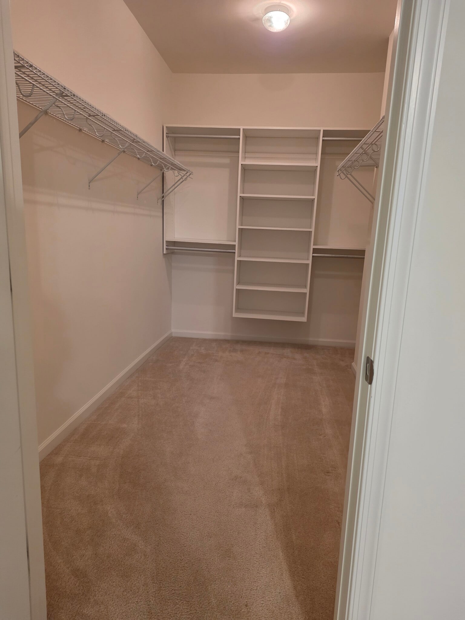 Master Room Closet - 24660 Woolly Mammoth Ter