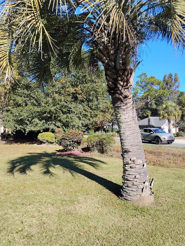 Building Photo - Gleneagles Drive