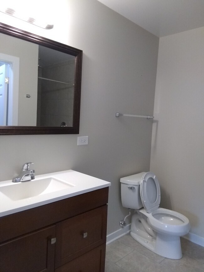 master bath - 6720 N Damen Ave