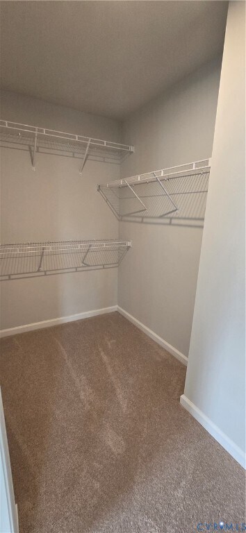 Building Photo - 567 Sybil St