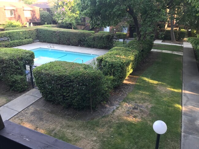 Entrance: Swimming Pool view - 1177 Honey Trl