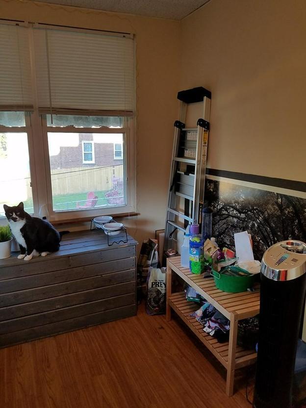 Building Photo - 4955 Arsenal St