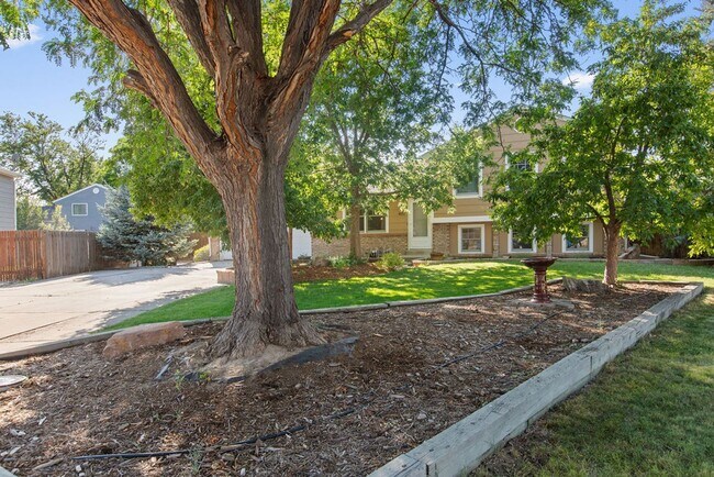 Building Photo - Beautiful 4 bed, 2 bath on Cul-de-sac  w/ large yard available in Central Loveland