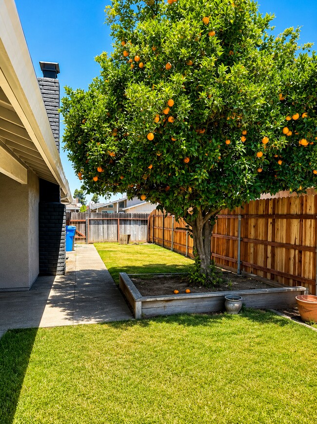 Building Photo - 708 Meadow Way