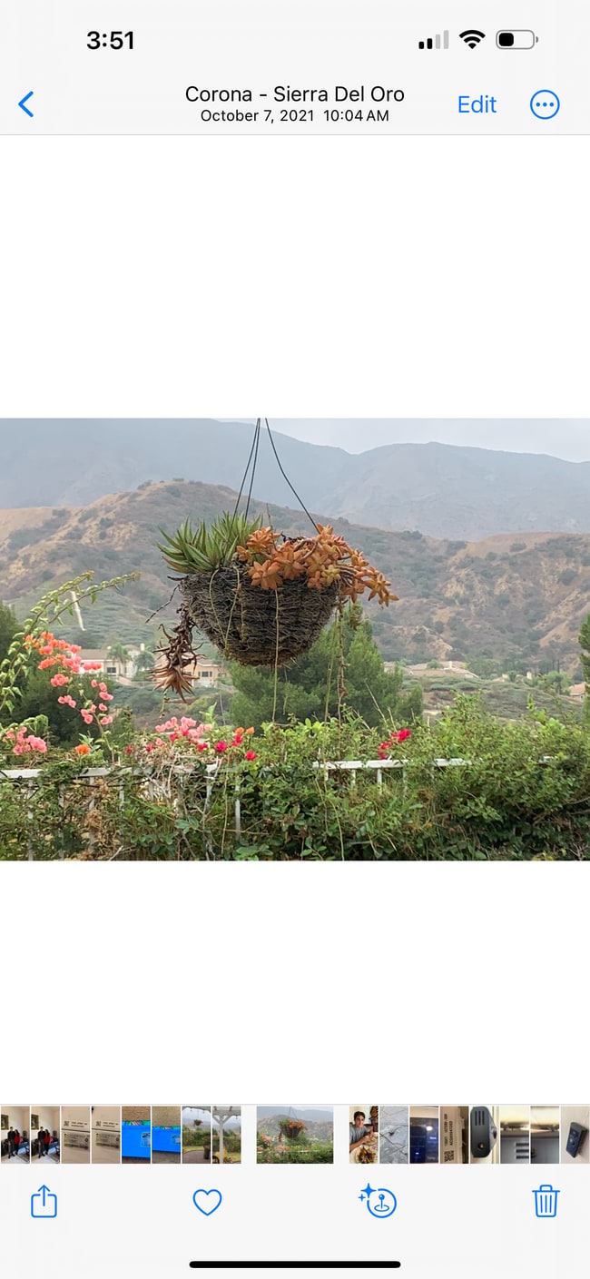 Building Photo - 3350 Deaver Dr